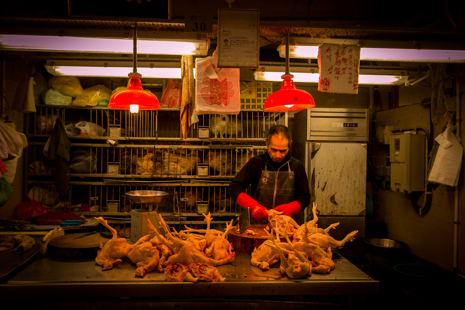 Balades dans le Macao populaire