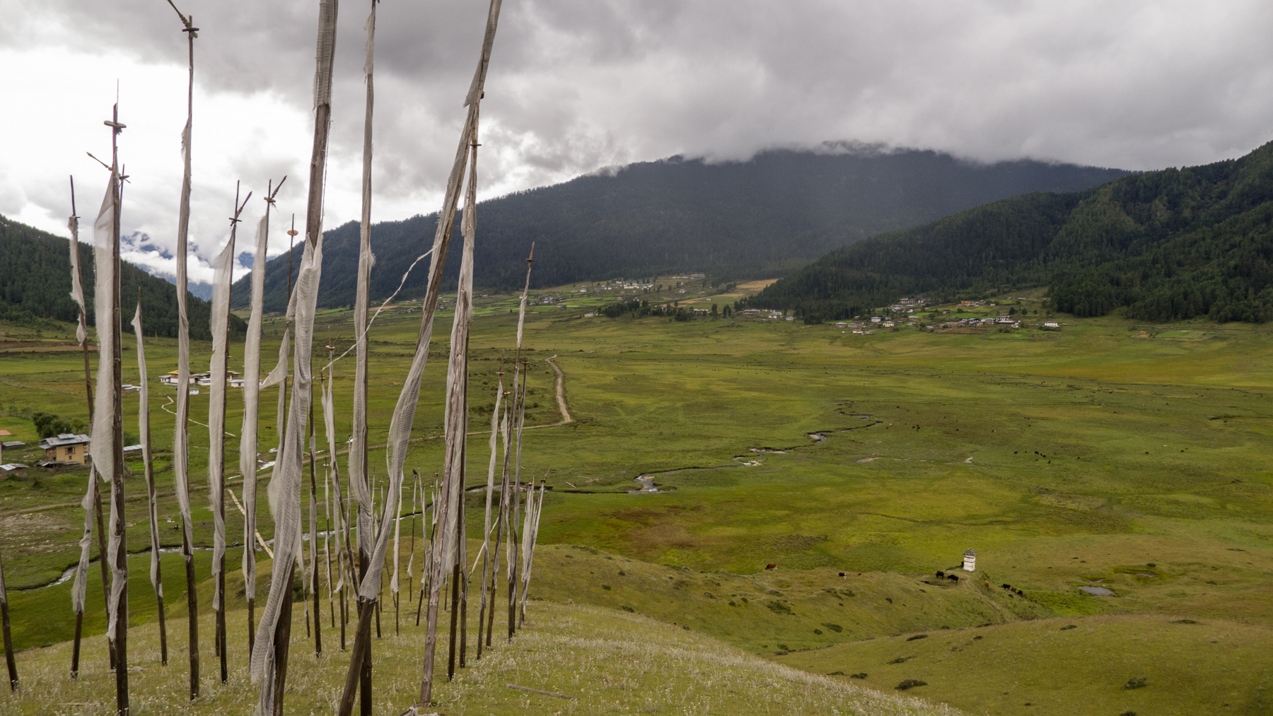 Phobjikha Valley