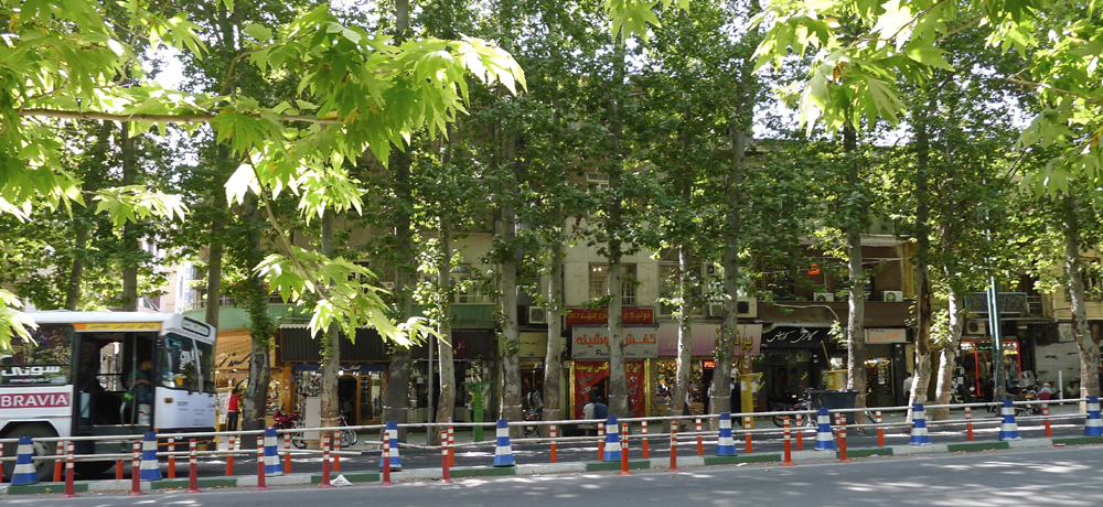 Valiasr Street à Tehran