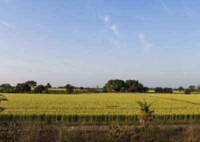 Départ de Bundi pour Goa