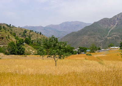 Superbe Yamuna Valley !