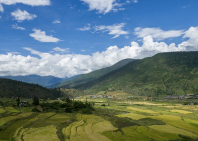 2016 – Bhoutan – Gangtey à Thimphu