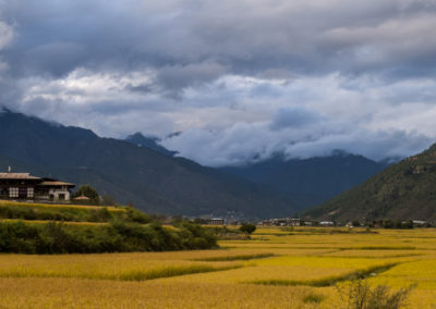 2016 – Bhoutan – Vallée de Paro